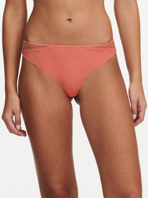 Pink Coral Chantelle Georgia Women Thong Panty | FBL8545FX