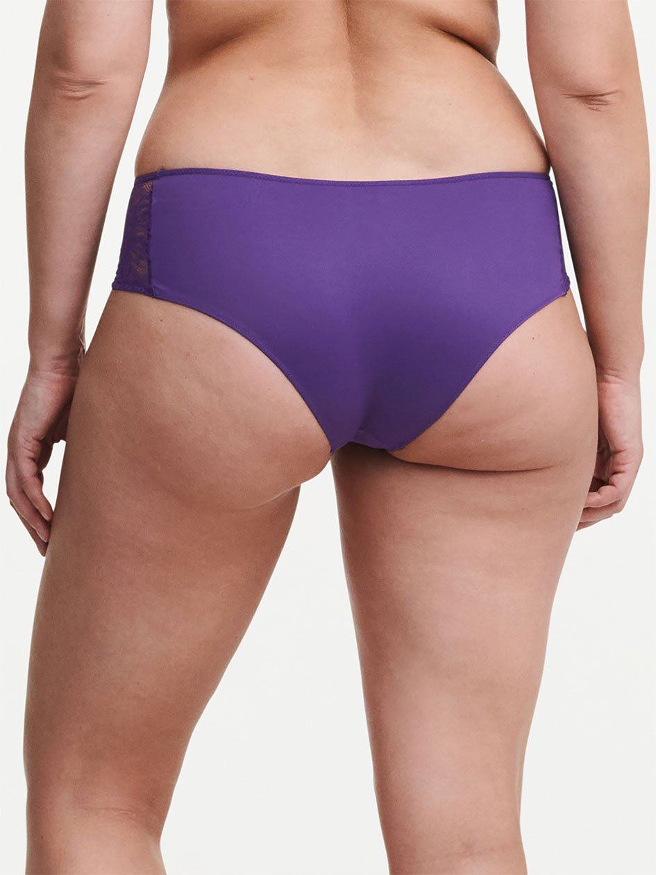 Purple Chantelle Naya Lace Women Hipster Panty | VEI6424DK