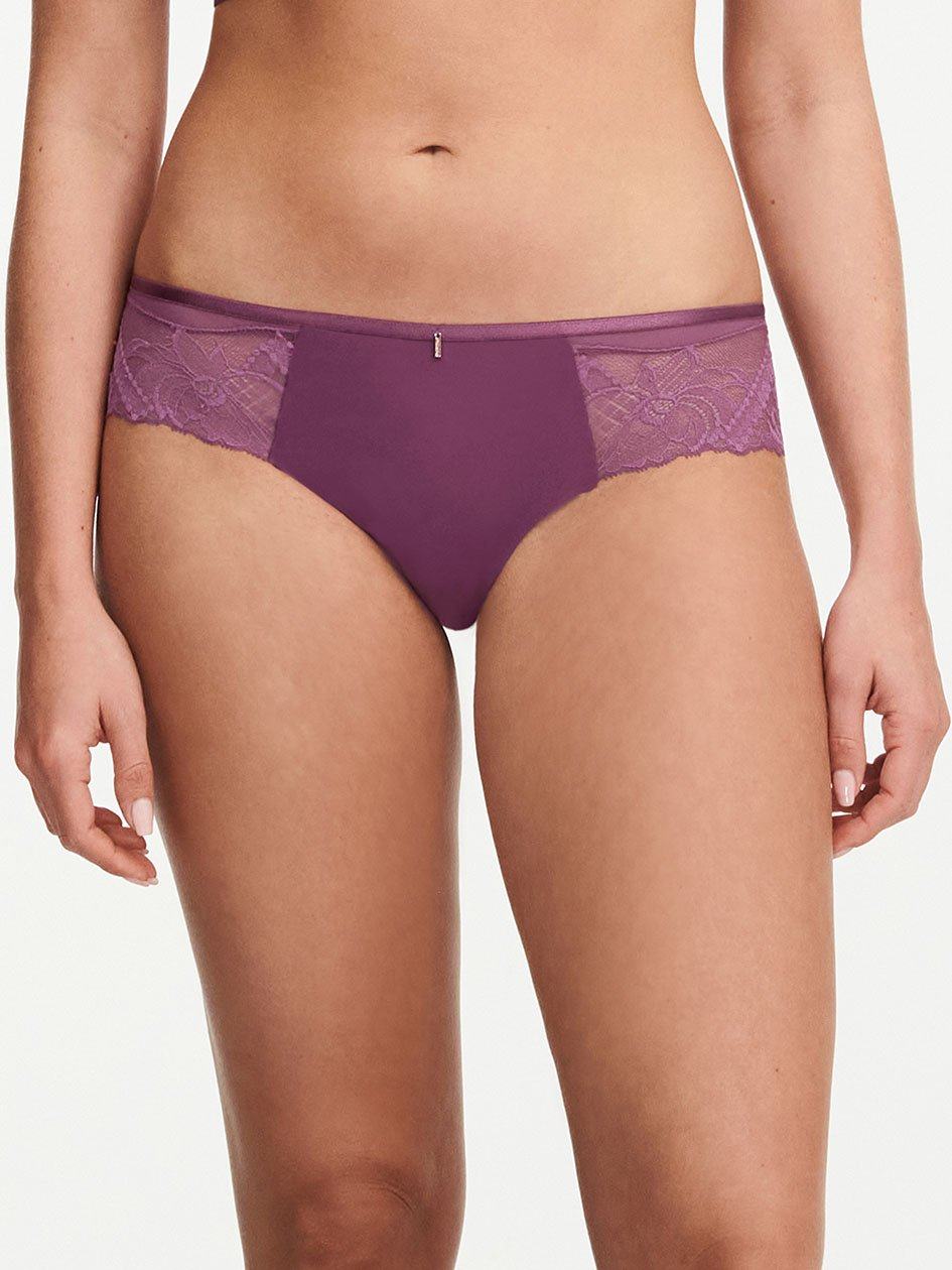 Purple Chantelle Orangerie Dream Women Hipster Panty | VHI7818NT